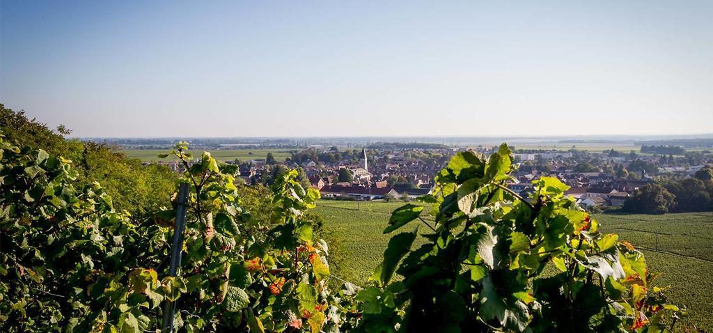 Hostellerie St Vincent Nuits-Saint-Georges Exterior foto